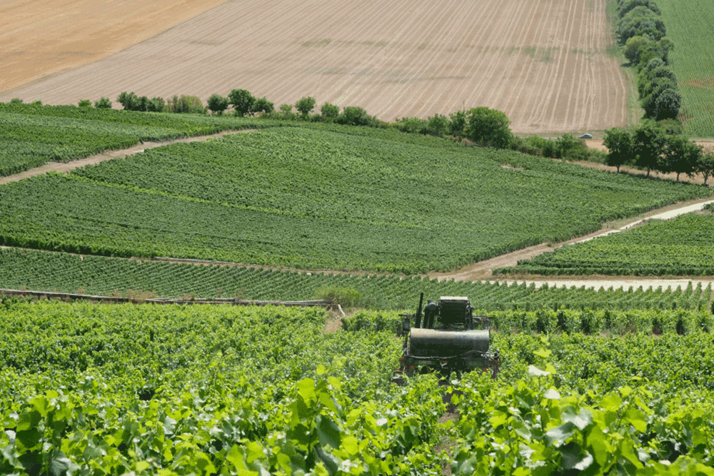 PHÁT TRIỂN DỰ ÁN NÔNG NGHIỆP VÀ MÔI TRƯỜNG XANH